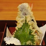 Kineya Rokko Do Foresuta Ten - 天ぷら盛り合わせ