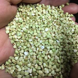 Commitment to Buckwheat Groats