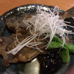 Shichi Raku - 