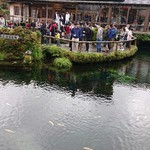 Hotel Shinko - 