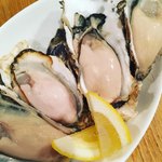 Shikaniku & Oyster Bar Shikaniku Slowdown - 