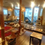 Neko Cafe MONTA - 店内