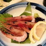 Jion - 