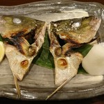 Tsurukame - しまあじカブト焼き