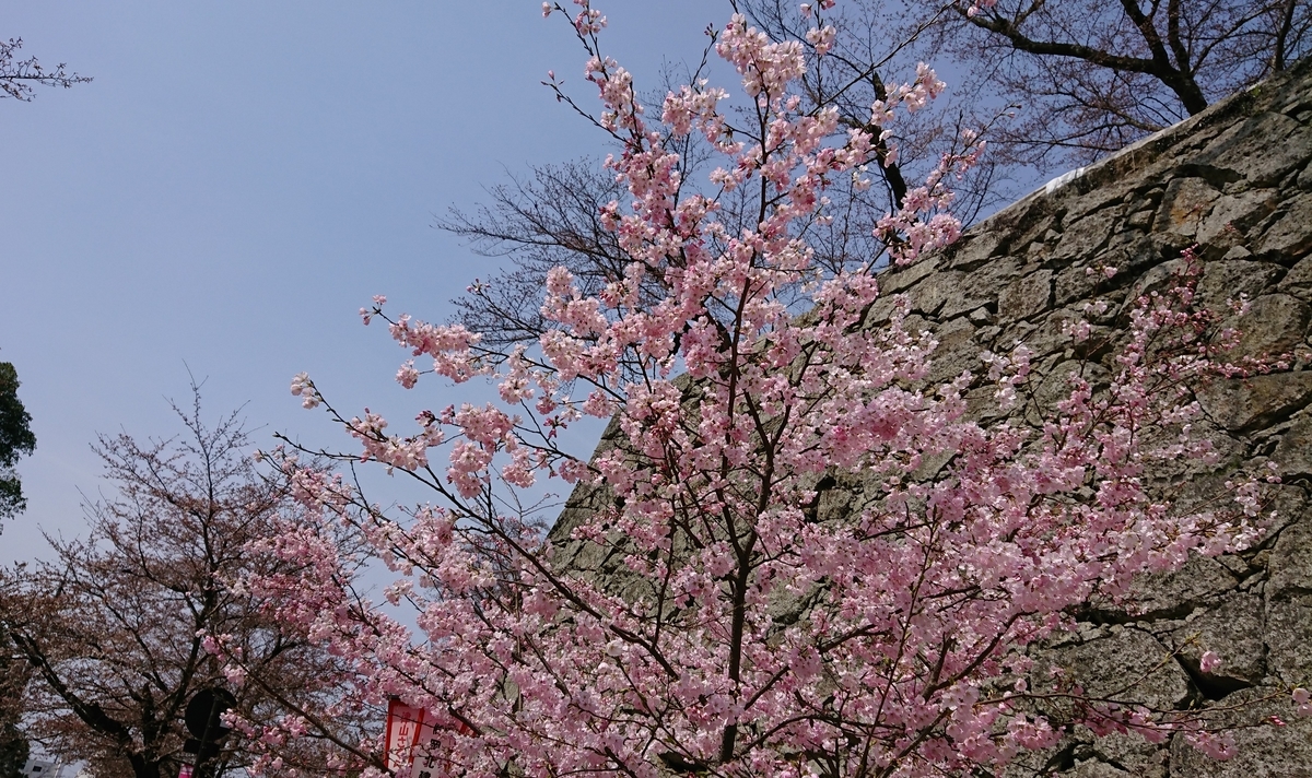 f:id:aranciarossa:20190329123821j:plain