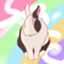 rabspice