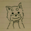 woshidan
