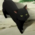 Avatar: ChrisCat1