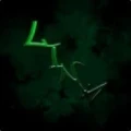 Avatar: LinkeyZ