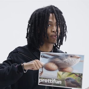 'prettifun'の画像