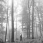 folklore: the sleepless nights chapter