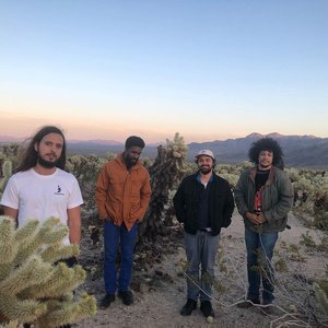 Image pour 'Boogarins'