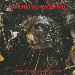 Immagine per 'Grinding Mechanism of Torment'