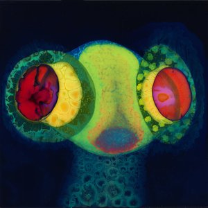 'SORCS 80'の画像