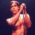Iggy Pop için avatar